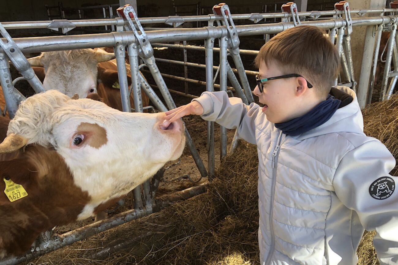 Ein Bub mit einer Brille streichelt sanft den Kopf einer Kuh im Stall.