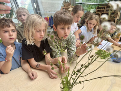 Kinder untersuchen gemeinsam Blumen an einem Tisch im Botanischen Garten.