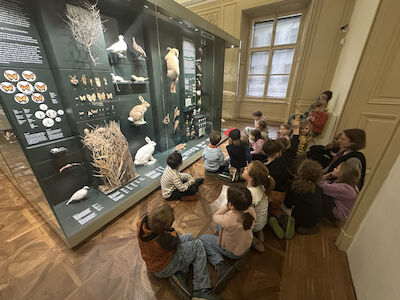 Im Sitzkreis erzählt die Führerin des Museums interessante Dinge über den Schneehasen. Im Hintergrund sieht man unter anderem ausgestopfte Hasen.
