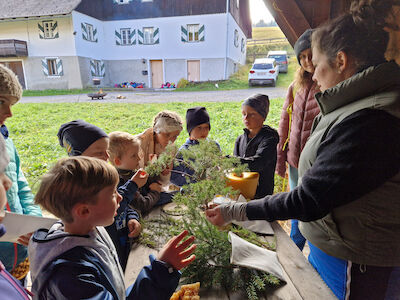 Verschiedene Nadelbaumzweige etc. werden von einigen Kindern genauer unter die Lupe genommen.