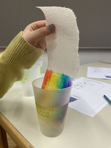 Am Foto ist eine Hand mit einer Küchenrolle, die sich am unteren Ende regenbogenmäßig färbt, und ein mit Wasser gefüllter Becher sichtbar.