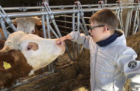 Ein Bub mit einer Brille streichelt im Stall vorsichtig die Schnauze einer Kuh.