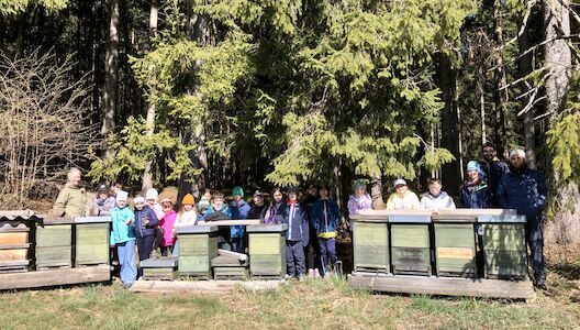 Hinter einer Vielzahl an Bienenstöcke posieren die Kinder der Sonnen-Klasse fürs Foto.